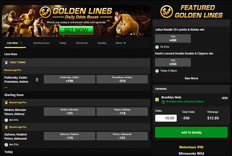 golden nugget my account.